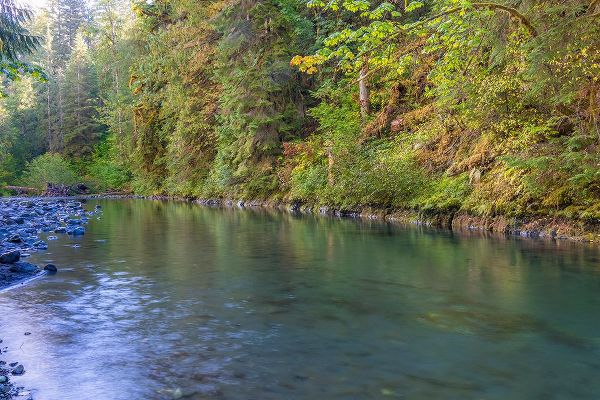Jaynes Gallery 아티스트의 USA-Washington State-Olympic National Forest Duckabush River landscape작품입니다.